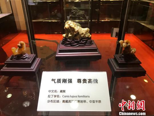 展会现场展出的生肖名石。　杨静 摄