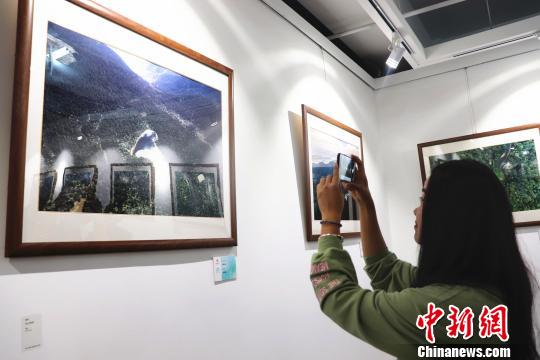 “绿水青山中国森林摄影作品巡展”黑龙江展现场 王琳 摄